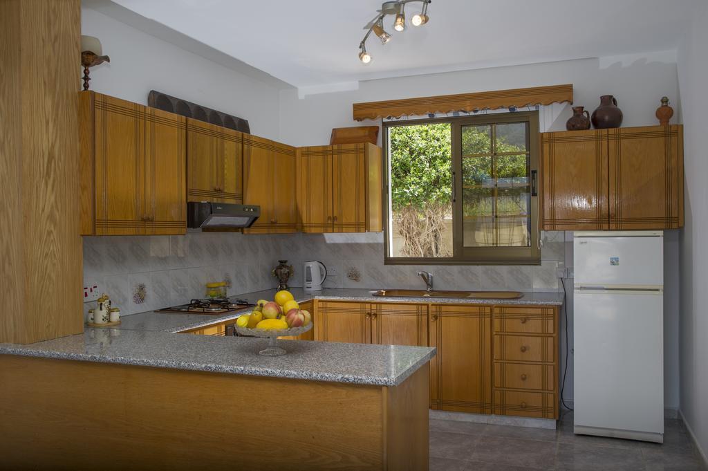 Savvas Villa Argaka Exteriér fotografie