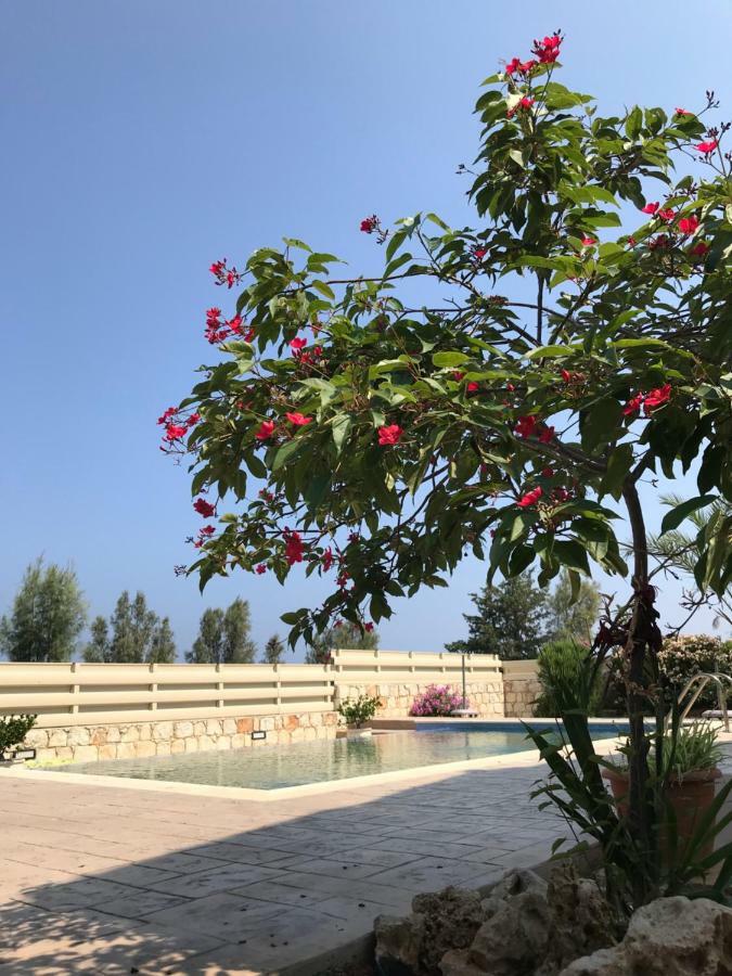 Savvas Villa Argaka Exteriér fotografie